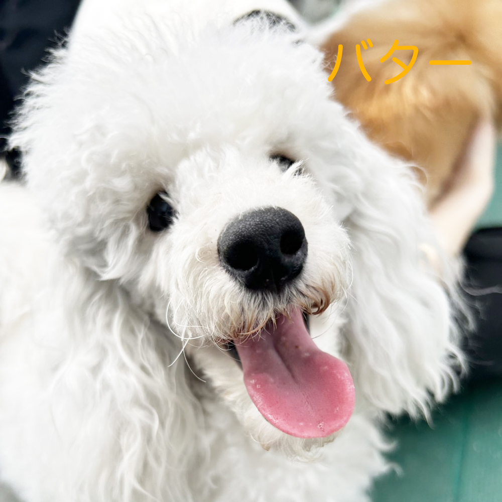 生徒が撮影した写真☆☆☆②